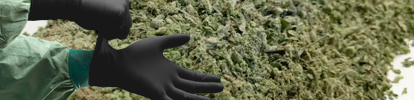 Grow Room Trimming Gloves